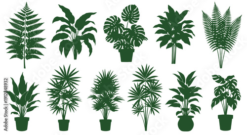 Collection of green potted house plant silhouettes on white