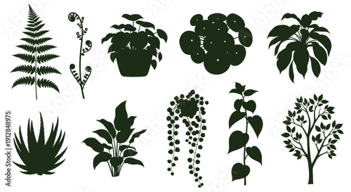 Diverse collection of indoor houseplants and garden plant silhouettes