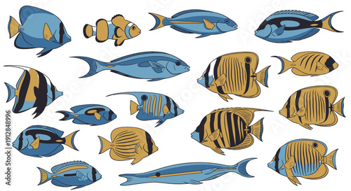 Diverse colorful tropical fish marine life collection isolated on white