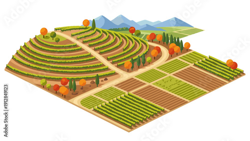 Isometric vineyard landscape with orchards and fields in autumn colors