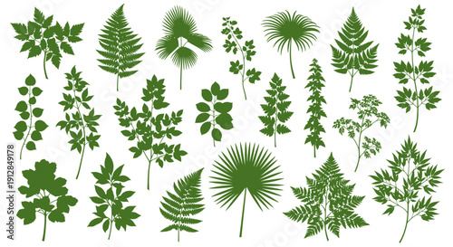 Collection of various green plant leaf and fern silhouettes