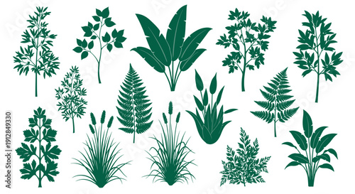 Diverse green plant and leaf silhouettes botanical collection