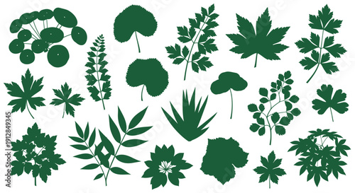 Collection of various green plant leaves and foliage silhouettes