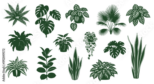 Diverse potted houseplants silhouettes set isolated on white background