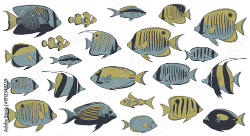 Diverse tropical marine fish illustrations on white background