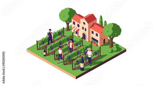 Charming vineyard scene with harvesting people in isometric style