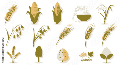 Flat design icons of cereals, grains, and agricultural plants