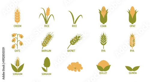 Flat design icons representing diverse cereal and grain plants