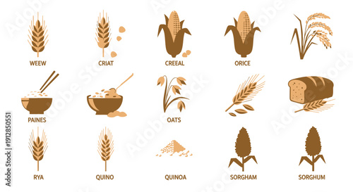 Flat vector icons of diverse cereal grains and food products