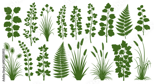 Green plant and grass silhouettes set on white background