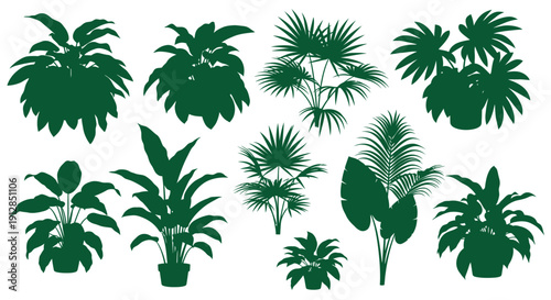 Green tropical houseplant silhouettes set on white background