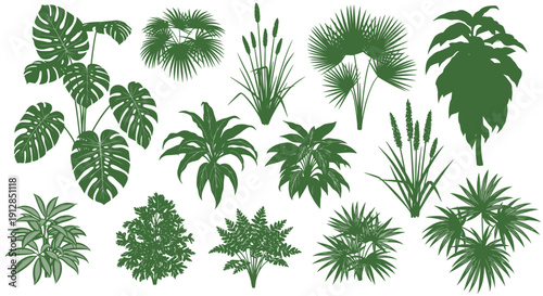 Green plant silhouettes set: tropical leaves, palms, bushes, reeds
