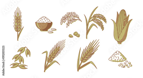 Hand-drawn cereal grains, wheat, rice, corn, oats, flour set
