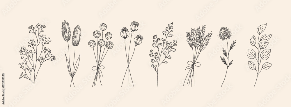 Naklejka premium Grunge minimal chalk threads flower collection. Vector illustration dried or wild herbs set. Floral silhouette elements for scrapbooking art.
