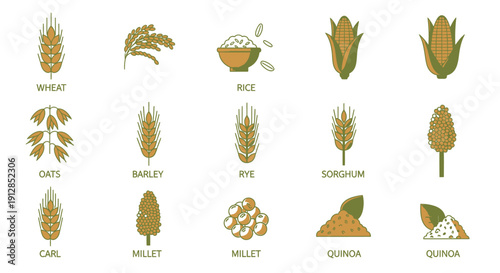 Outline icons set of various cereal grains and healthy seeds