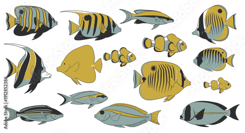 Set of colorful tropical fish marine life illustration