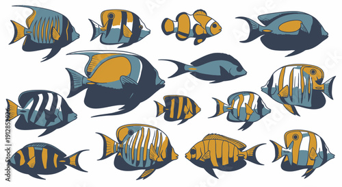 Set of diverse tropical fish vector illustration collection