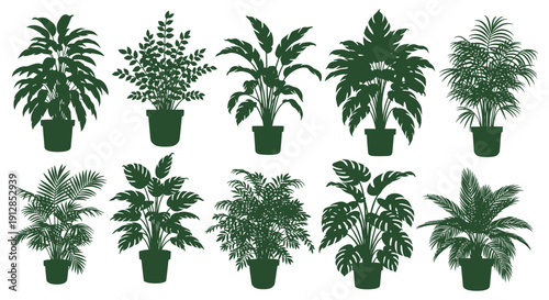 Set of diverse potted indoor houseplant silhouettes on white background