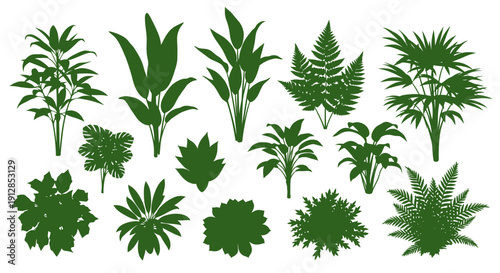 Set of green botanical leaf and fern plant silhouettes