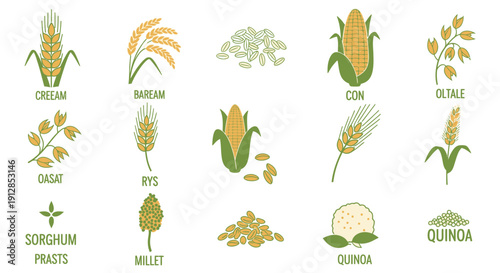 Set of various cereal grains and healthy food icons