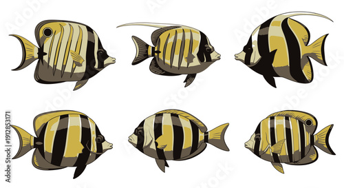 Set of various cereal grains and healthy food icons