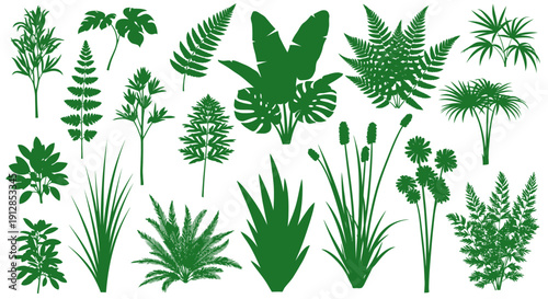 Set of various green plant silhouettes for design elements