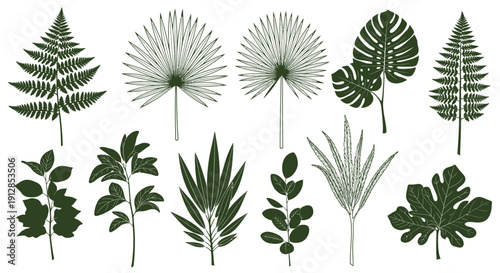 Stylized dark green tropical botanical leaves collection on white