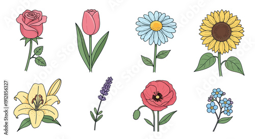 Collection of diverse illustrated flowers on a white background