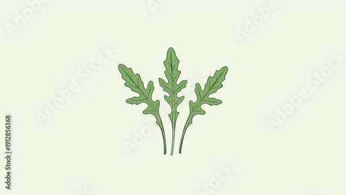 Three fresh green arugula leaves arranged in a group on a very light green background for culinary and food themes.