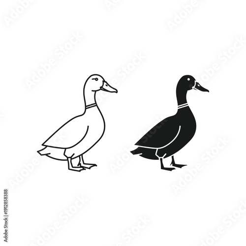 Two contrasting ducks standing side by side in simple line art