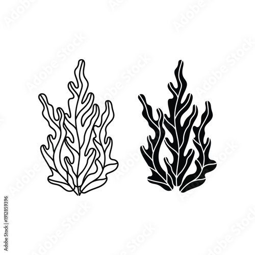 Two stylized illustrations of underwater seaweed or kelp fronds in black and white