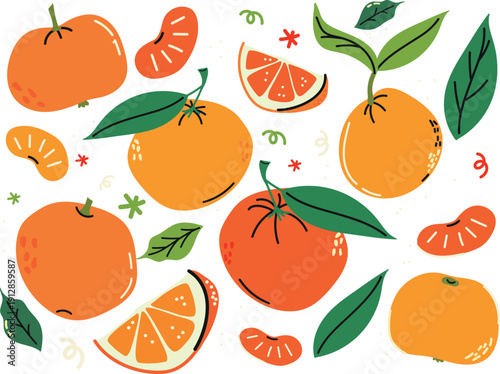 Bright citrus fruit sticker set with mandarins and oranges, hand drawn flat vector illustration collection with green leaves, orange slices, whole fruits and botanical elements, colorful cute citrus 