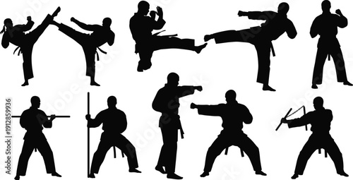 Silhouettes of martial artists in action poses with weapons and stances representing discipline, combat skills, and traditional martial arts techniques
