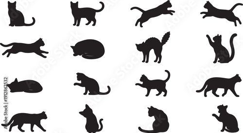 Set of minimalist black cat silhouettes in various poses and actions isolated on white background
