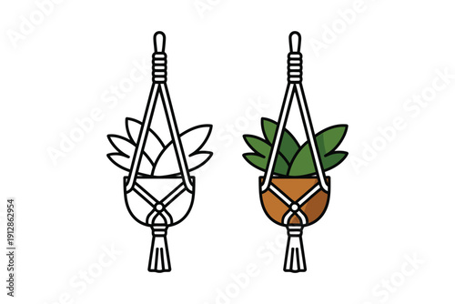 Two macrame plant hangers show design options for hanging indoor potted.