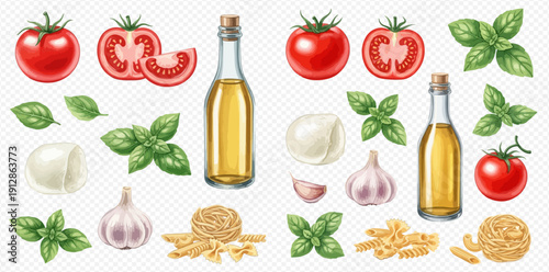Set of realistic vector illustrations of fresh Italian food ingredients including tomatoes, basil, mozzarella, olive oil, garlic, and pasta.