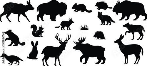 North American Wildlife Silhouette Vector Set with Forest Animals Moose Bear Deer Fox Bison Isolated Black Illustration Collection