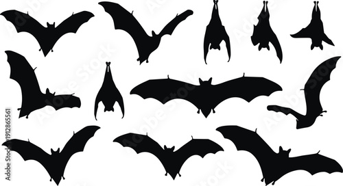 Silhouettes of twelve bats in flight and hanging poses for Halloween, wildlife, and spooky-themed design illustrations