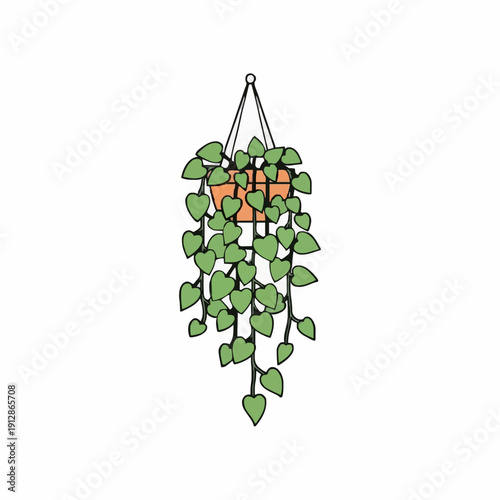A Trailing Green Houseplant in a Terracotta Pot Hangs Indoors Against a White Background