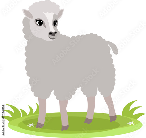 Farm Animals. Cute farm. A curly sheep stands on a green meadow. Collection of farm animals. Flat vector illustration. Isolated
