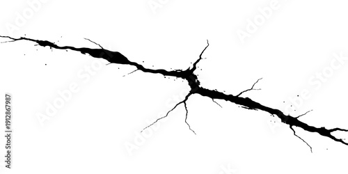 A delicate cherry blossom branch with spring flowers casts a black silhouette against a cracked wall featuring a deep hole and a jagged crack in the ground