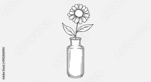 Elegant hand-drawn flower in a vase: Simple botanical line art illustration and design element
