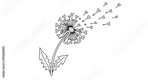 Delicate dandelion with heart shaped seeds gently blowing away in the breeze creating a romantic