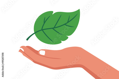 Human hand gently supporting a single vivid green fresh leaf above white.