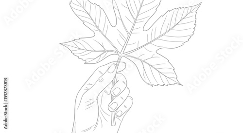 Elegant hand holding a delicately drawn maple leaf, symbolizing nature's beauty and fragility
