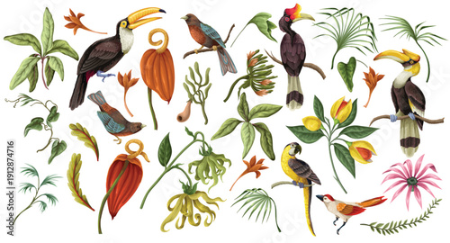 Tropical floral birds elements isolated with exotic jungle botanical illustration vintage