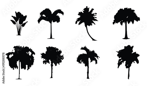 palm tree vector