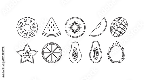 Assorted Tropical Fruit Slices and Shapes Line Art Vector Illustrations