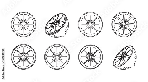 Citrus Slices and Halves Line Art Graphic