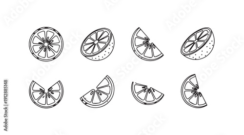 Citrus Slices Collection Hand Drawn Outline Vector Illustration